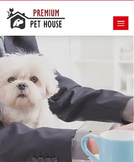 SEO for Online Pet Store