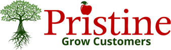 Pristineinfotech